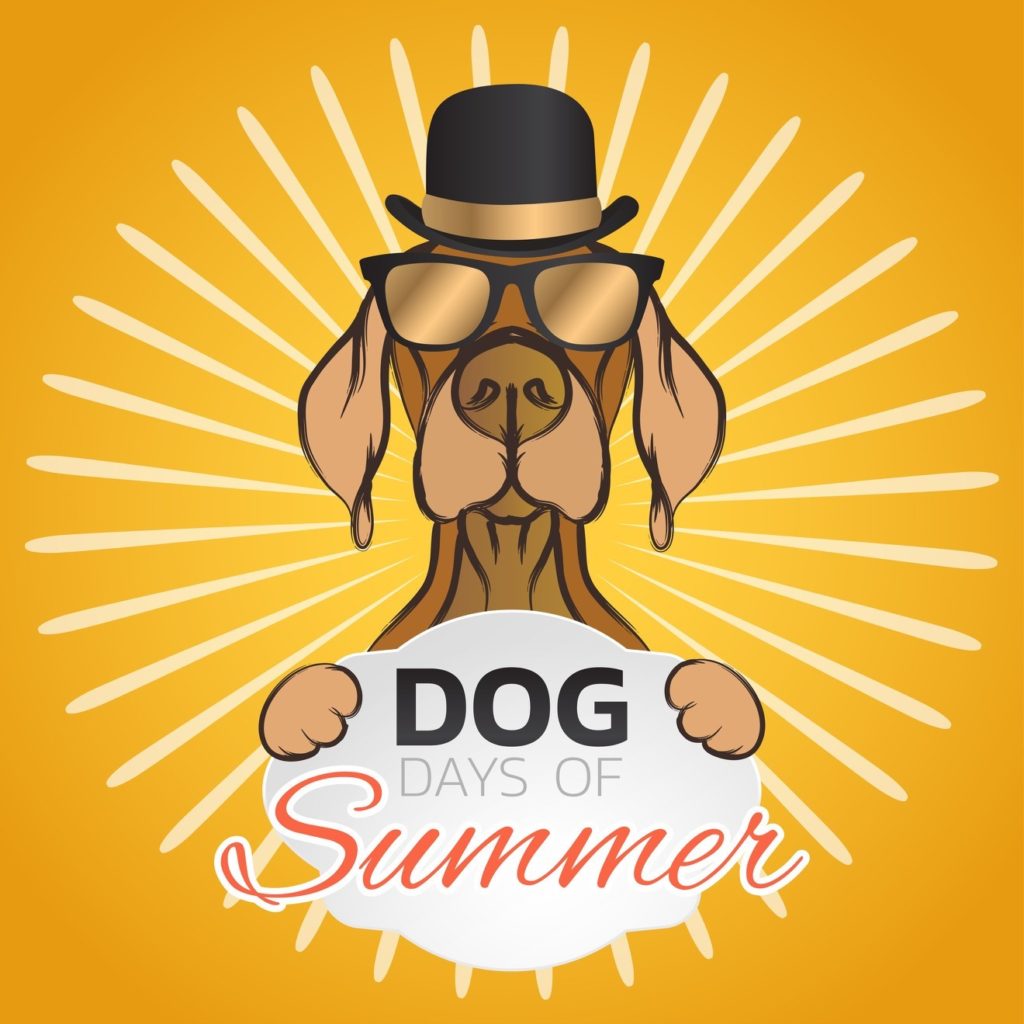 dog-days-of-summer